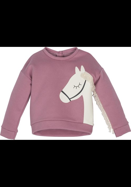 12447 Sweatshirt 1