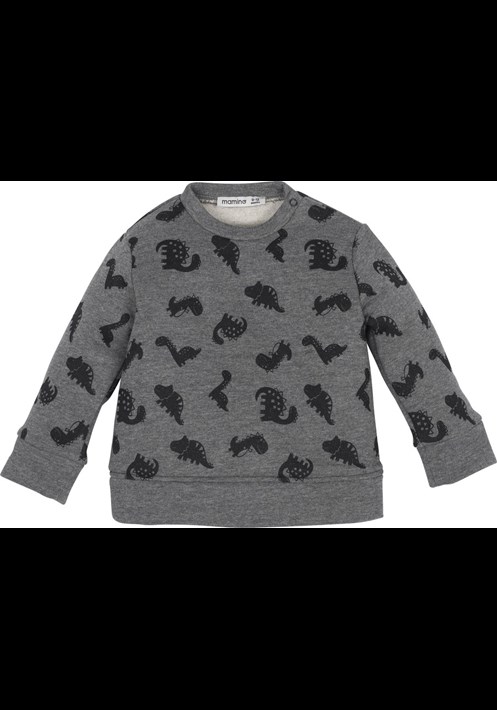 12531 Sweatshirt 1