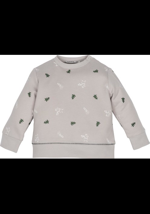 12527 Sweatshirt 1