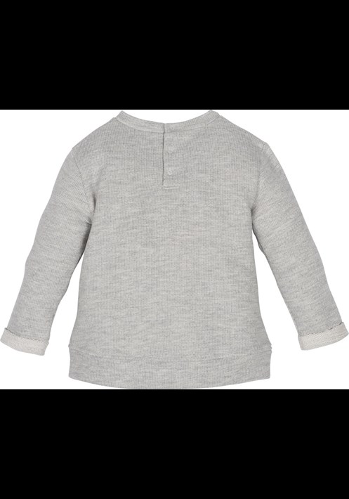 12633 Sweatshirt 2