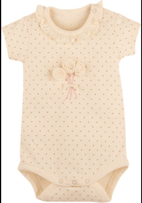 8183 Organik Body 1