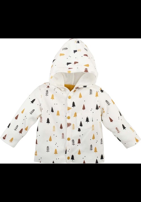 11152 Hirka 1