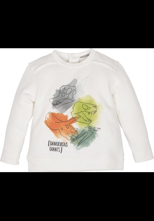 12628  Sweatshirt 1