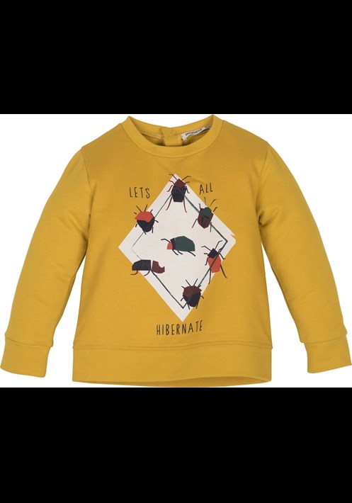 12655 Sweatshirt 1