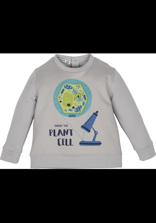 12642 Sweatshirt 1