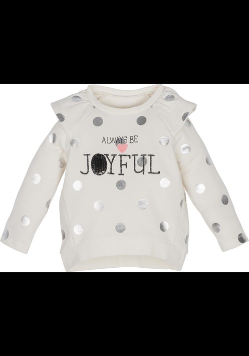 12446 Sweatshirt 1