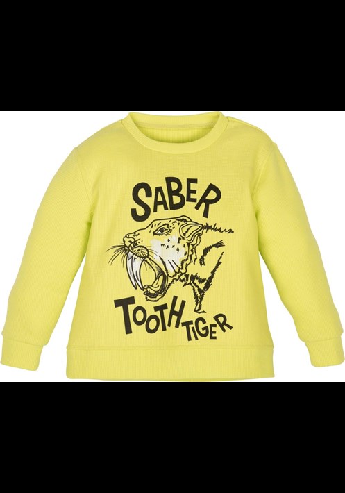 12771 Sweatshirt 1