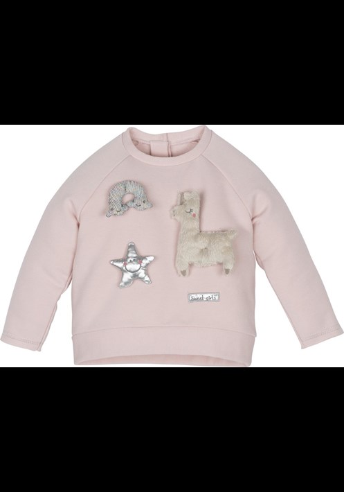 12552 Sweatshirt 1