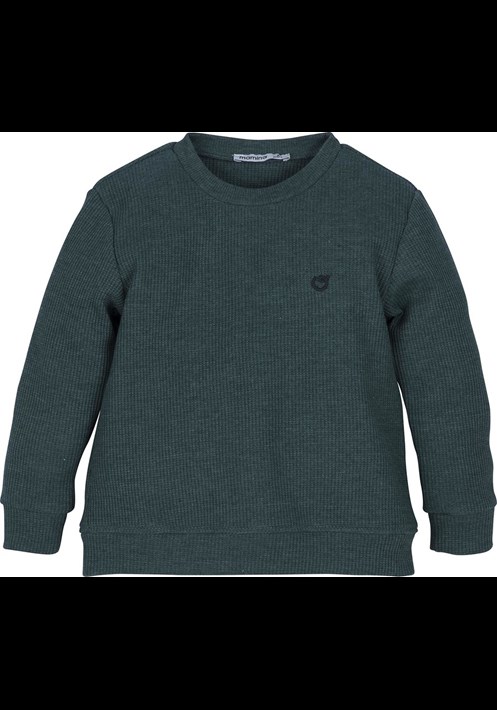 12768  Sweatshirt 1