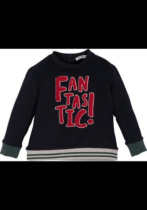 12660 Sweatshirt 1