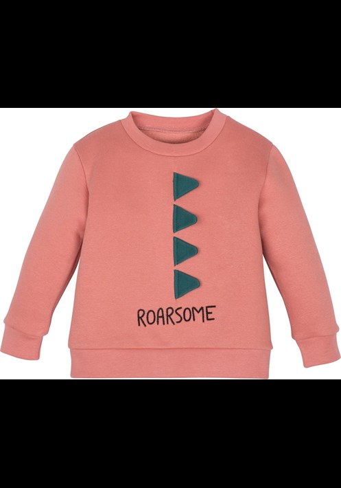 12658 Sweatshirt 1