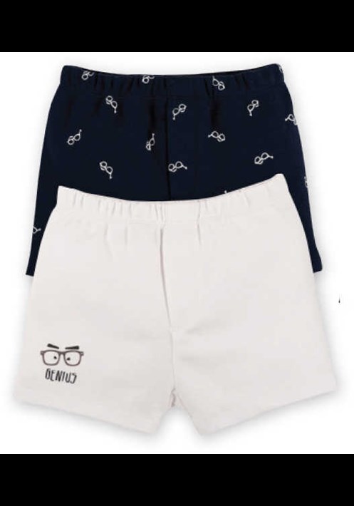 9791 Boxer 1