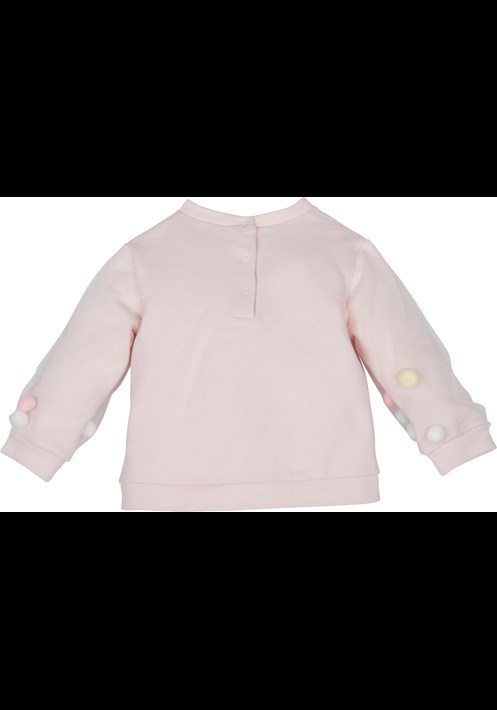 12313 Sweatshirt 2