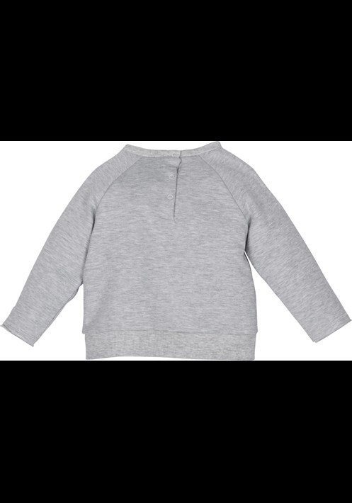 12329 Sweatshirt 3