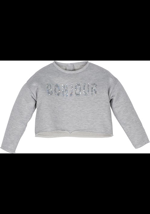 12391 Sweatshirt 1