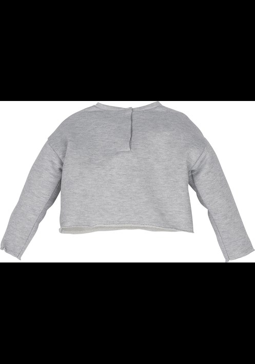 12391 Sweatshirt 2