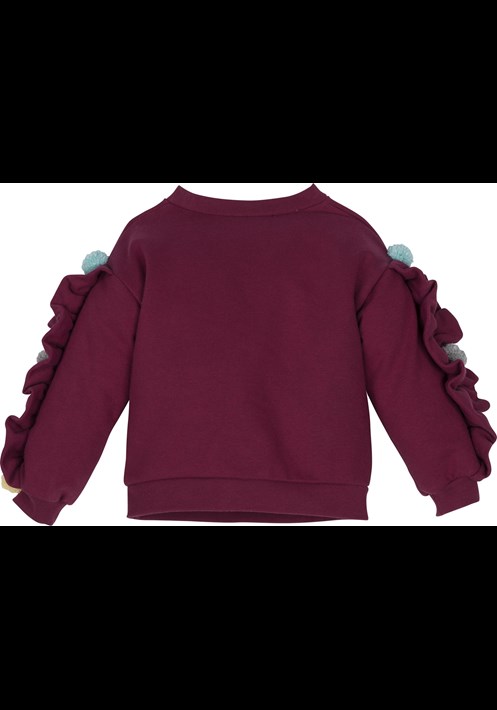 12394 Sweatshirt 2