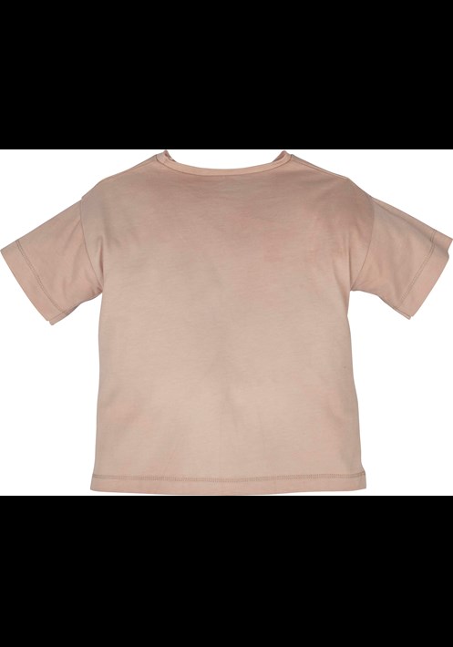 13062 T-Shirt 2