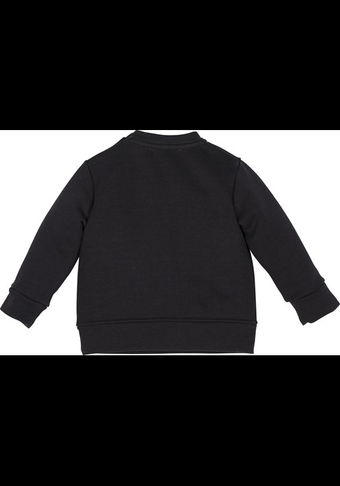 12526 Sweatshirt 2