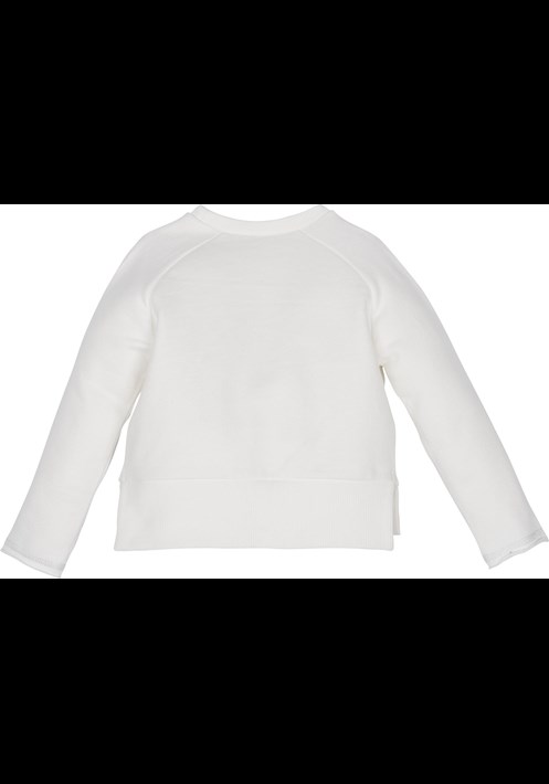 12413 Sweatshirt 2
