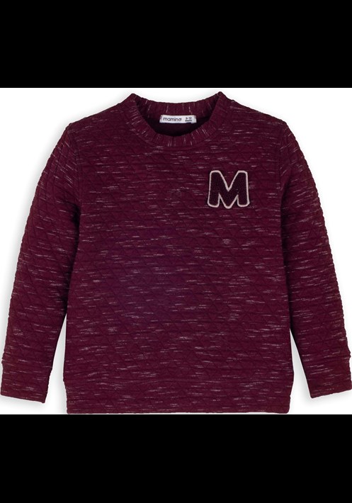 13921 Erkek Sweatshirt 1