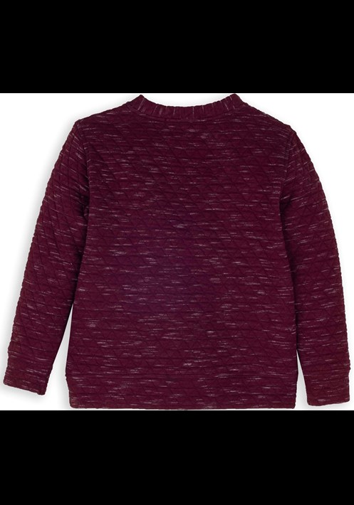 13921 Erkek Sweatshirt 2