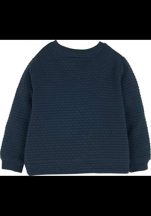 13920 Erkek Sweatshirt 2