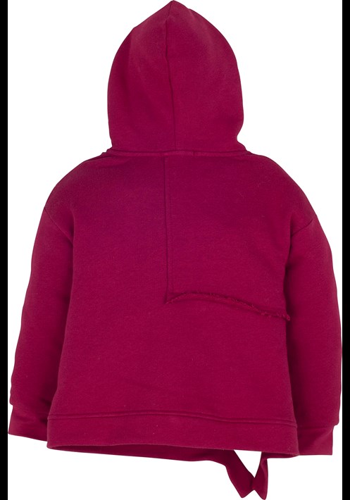14228 Kapsonlu Sweatshirt 2