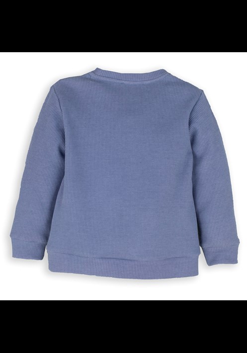13915 Sweatshirt 2