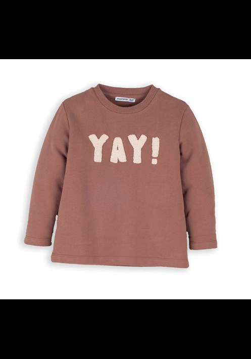 14013 Sweatshirt 1