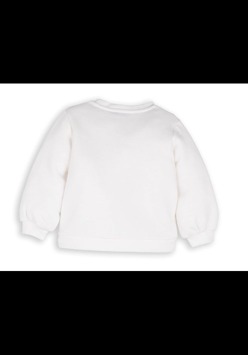 14095 Sweatshirt 2