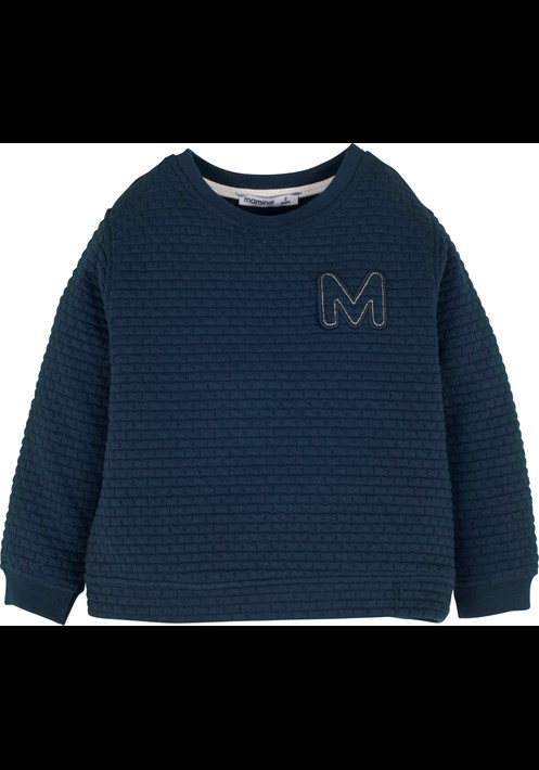 13920 Erkek Sweatshirt 1