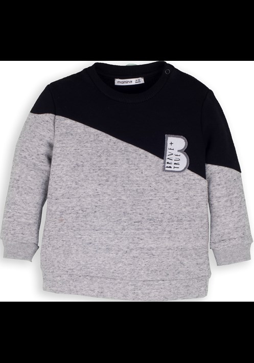 13889 Sweatshirt 1