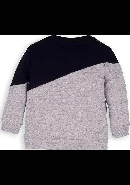 13889 Sweatshirt 2