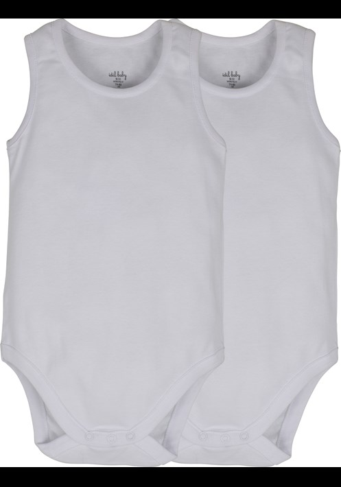 10673   2'li  Body 1