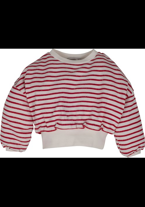 14176 Sweatshirt 1