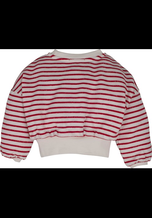 14176 Sweatshirt 2