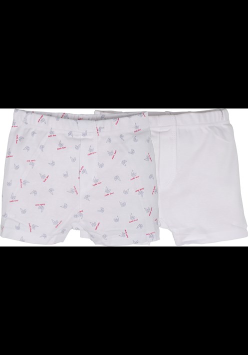 4479 2 LI BOXER 1