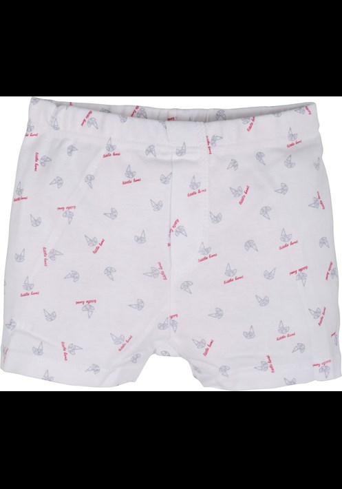 4479 2 LI BOXER 2