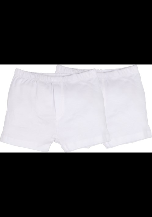 10421 Boxer 1