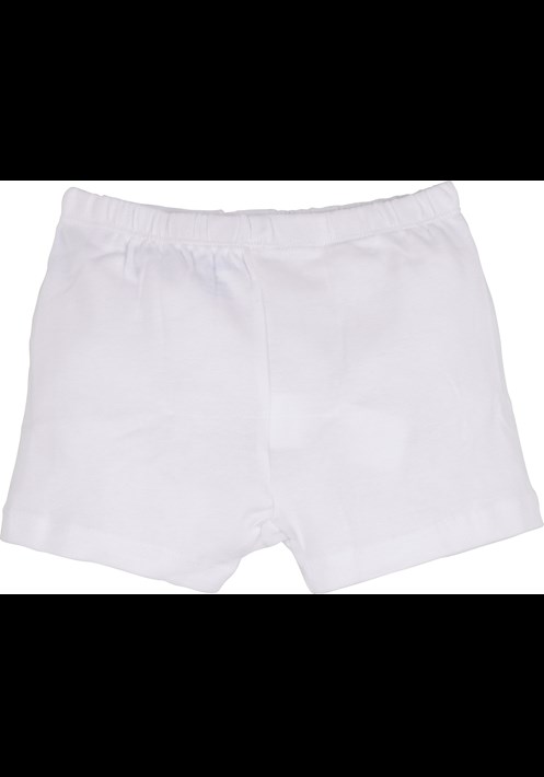 10421 Boxer 3