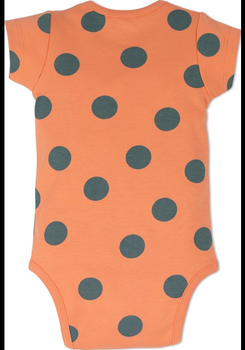 2'li Body 14338 5