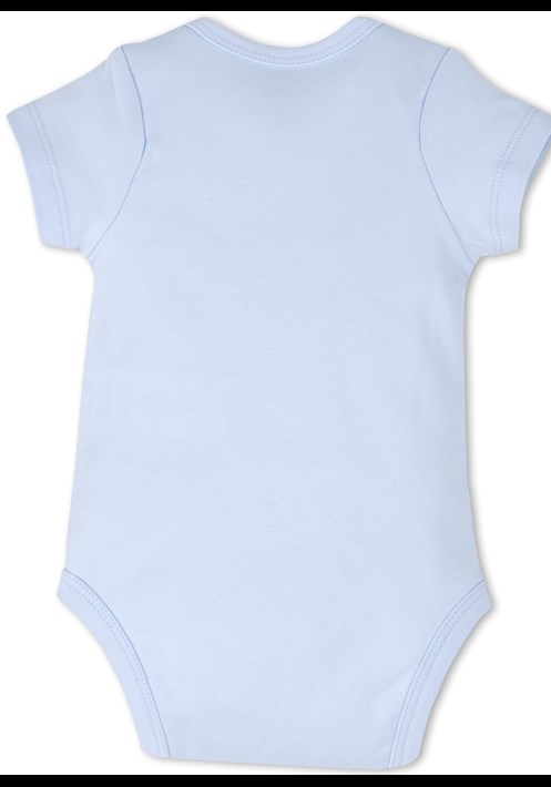 Body 14653 5