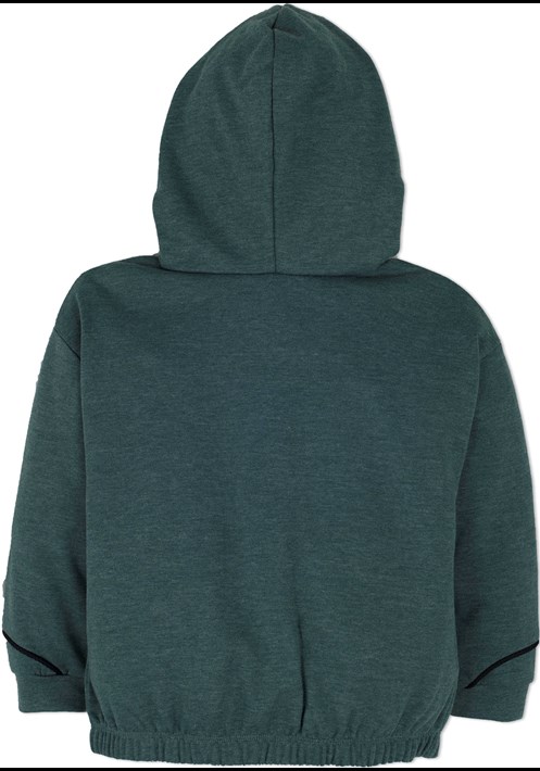 Kapüsonlu Sweatshirt 14573 3