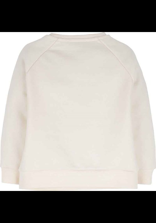 Sweatshirt 14872 2