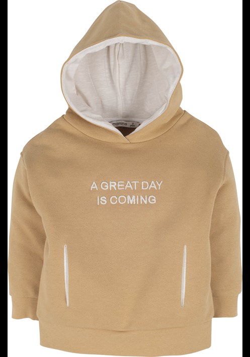 Kapüsonlu Sweatshirt 14710 2