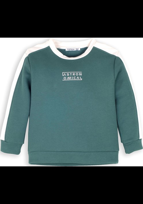 13918 Sweatshirt 2