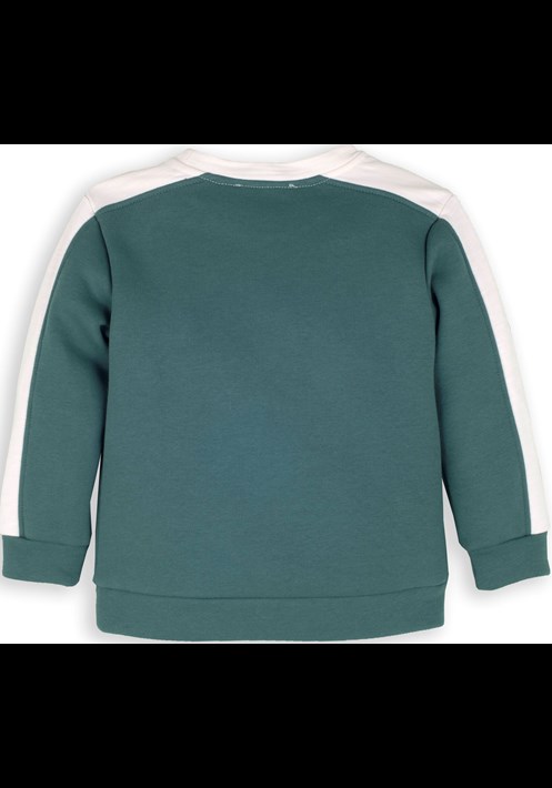 13918 Sweatshirt 3