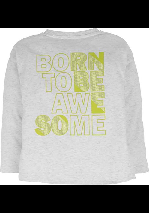 Sweatshirt 14999 2