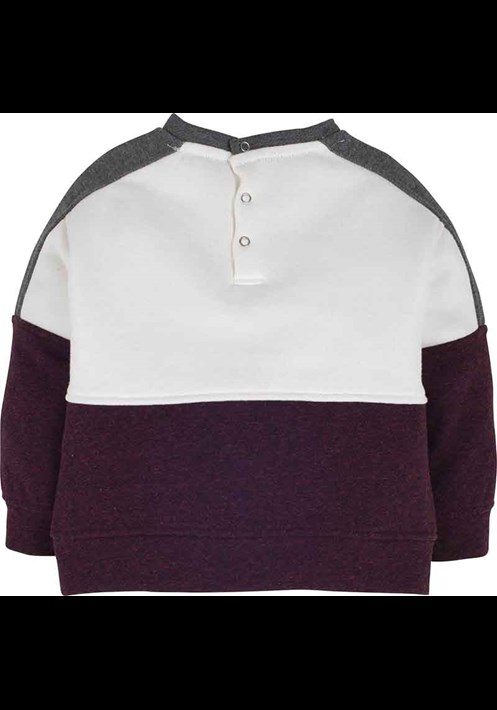 Sweatshirt 14849 2